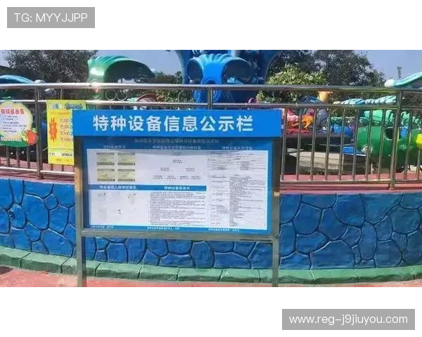 九游网网页版安全保障措施，保障用户账号信息安全的全面措施介绍